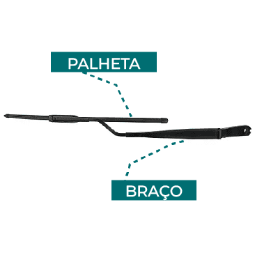 Braço e Palheta